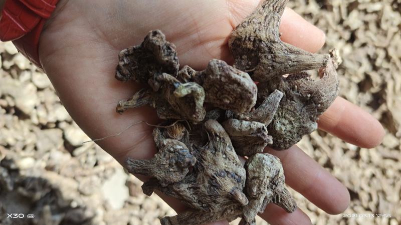 白芨，白芨干投料货零售批发
