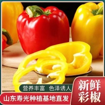 五彩椒山东寿光自产自销大量有货