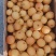南果梨海城库存大量有货