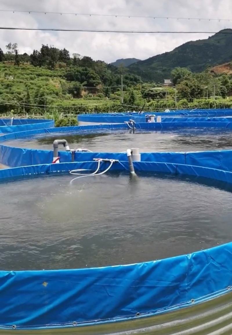 镀锌板帆布水池，无土养殖，质量可靠，便宜实用，方便管理，