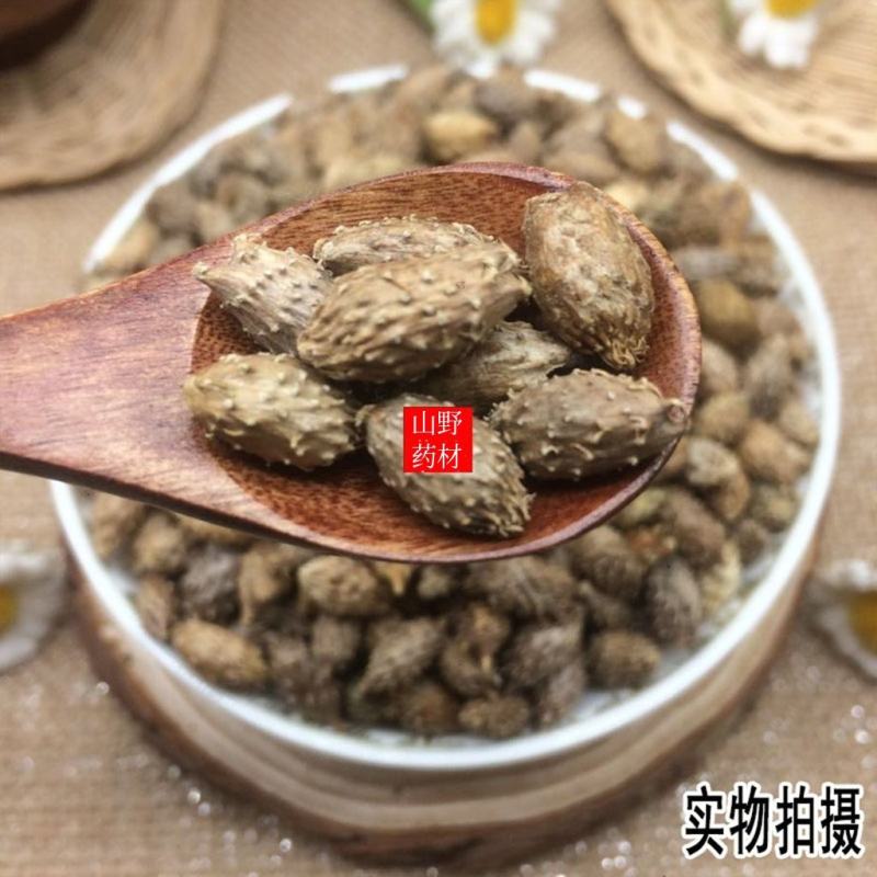 云南野生中药材苍耳子成熟苍耳子牛虱子苍耳苍子