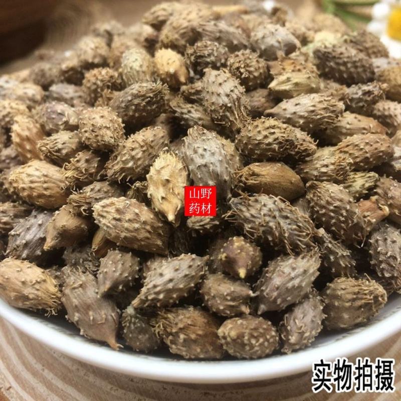 云南野生中药材苍耳子成熟苍耳子牛虱子苍耳苍子