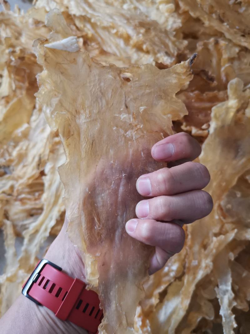 100头厚肉鱼胶花胶鳕鱼胶%不满意可退，一件代发足干老货