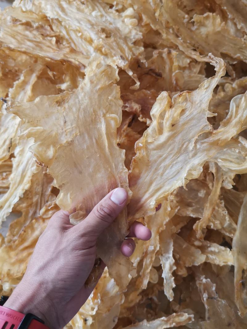 100头厚肉鱼胶花胶鳕鱼胶%不满意可退，一件代发足干老货