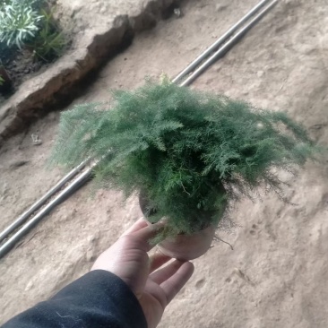 广州花山东货批发基地