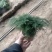 广州花山东货批发基地