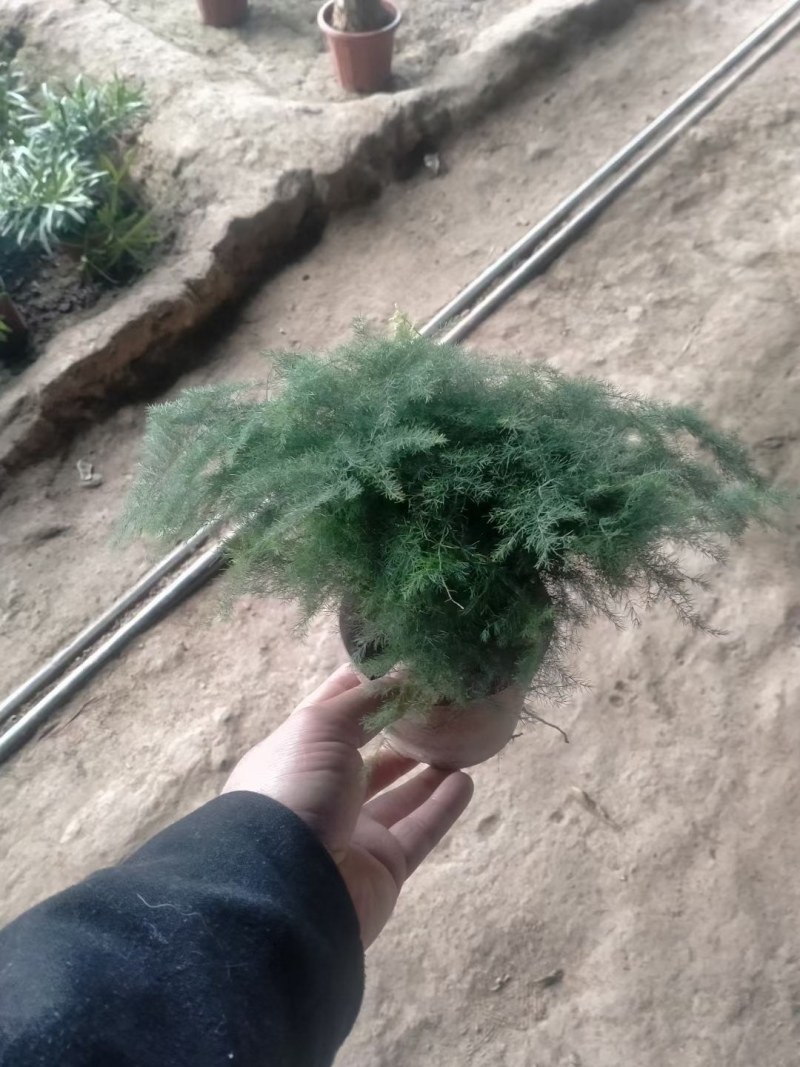 广州花山东货批发基地