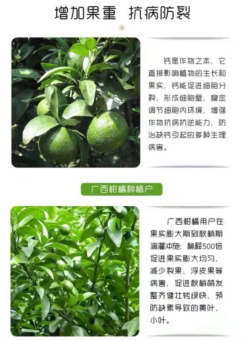 糖醇钙，瓜果蔬菜开花后的叶面肥料！改善口感，提高品质！