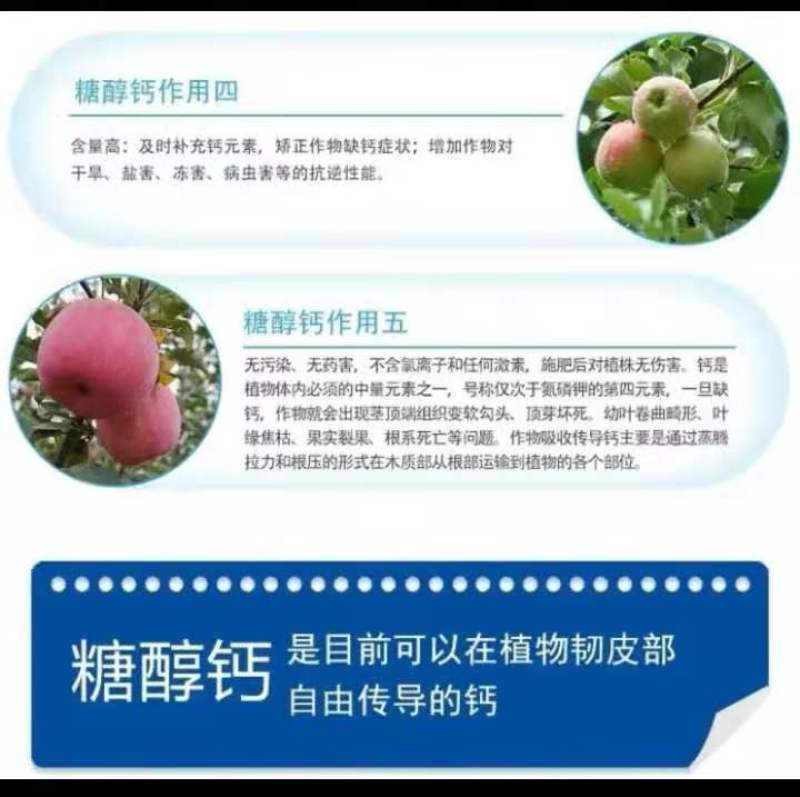 糖醇钙，瓜果蔬菜开花后的叶面肥料！改善口感，提高品质！