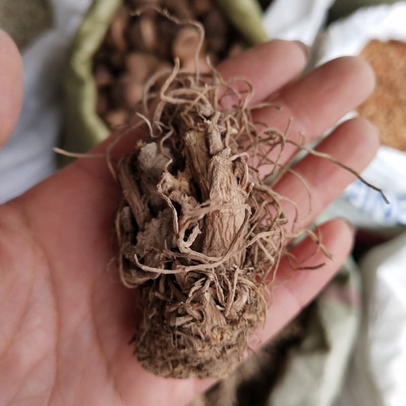 芹菜根500g中药材天然纯晒干芹菜根药用芹菜根