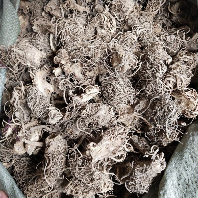 芹菜根500g中药材天然纯晒干芹菜根药用芹菜根