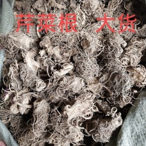 芹菜根500g中药材天然纯晒干芹菜根药用芹菜根黄花菜根