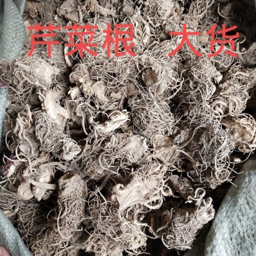 芹菜根500g中药材天然纯晒干芹菜根药用芹菜根