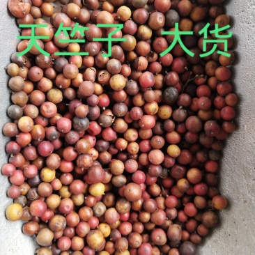 中药材天竺子南天竹子天烛子南竹子天烛子500克包邮另售