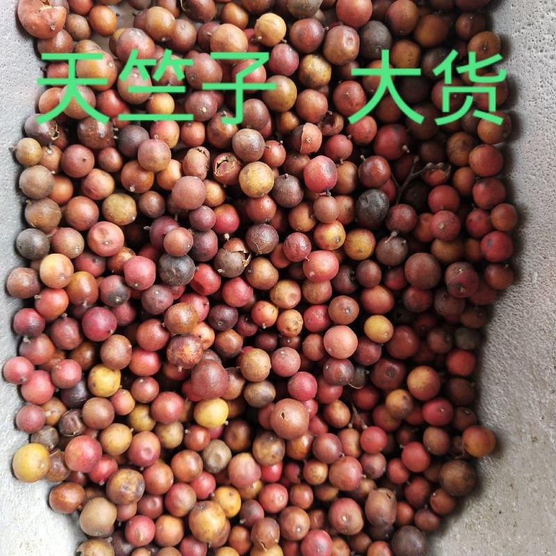 中药材天竺子南天竹子天烛子南竹子天烛子500克包邮另售