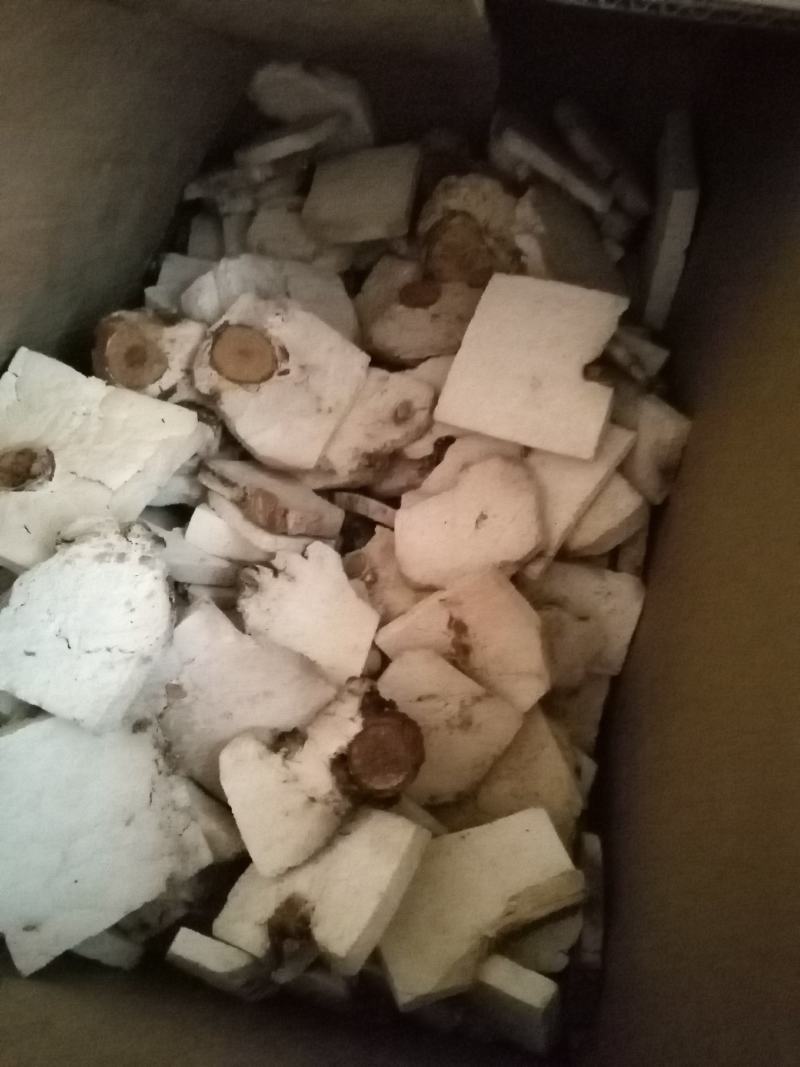 茯神木茯神中药材茯神片批发各种中药材质量保证