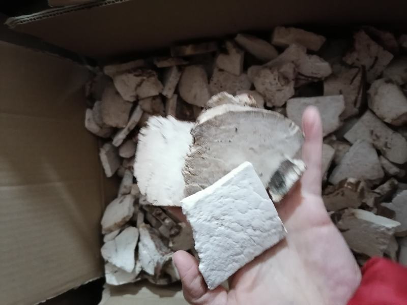 茯神木茯神中药材茯神片批发各种中药材质量保证