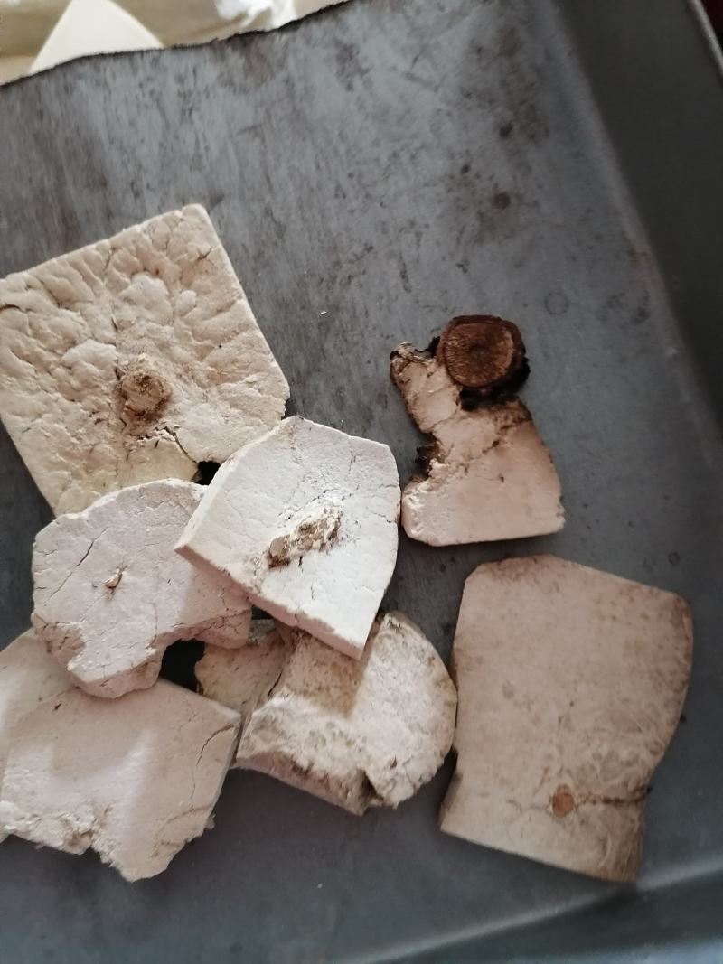 茯神木茯神中药材茯神片批发各种中药材质量保证