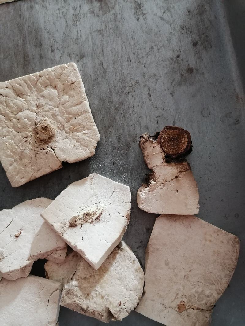 茯神木茯神中药材茯神片批发各种中药材质量保证