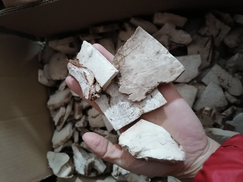 茯神木茯神中药材茯神片批发各种中药材质量保证