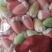 卡通棉花糖，各种棉花糖