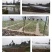 10亩空心菜基地转让