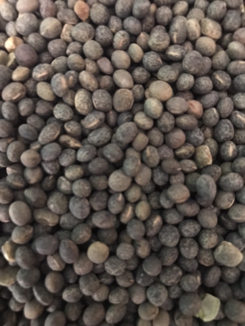 黑碗豆可适打凉粉做鸽粮干净过筛的