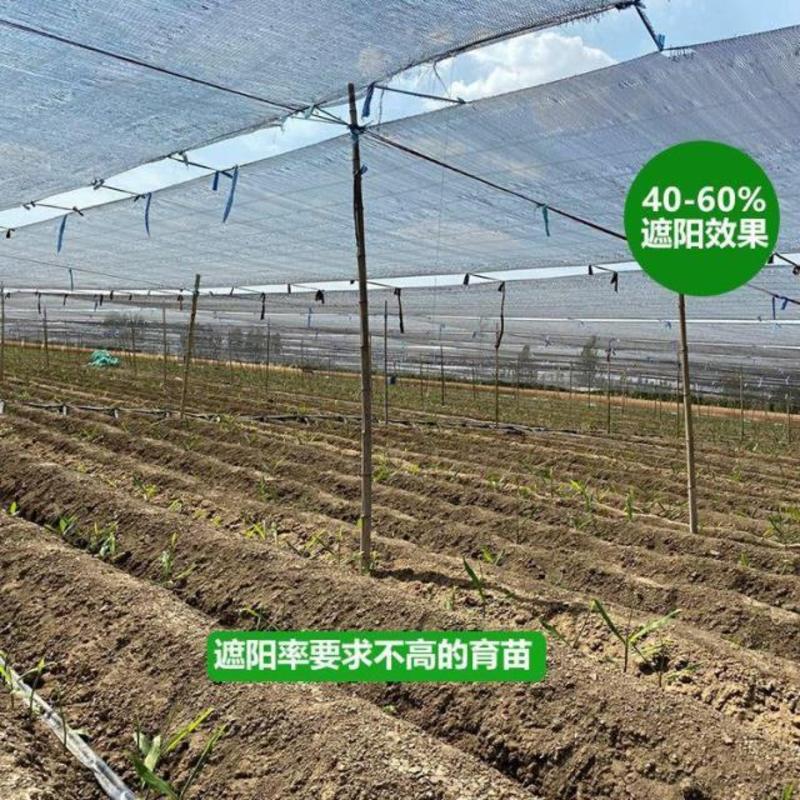 农用防老化遮阳网:果蔬、花卉、药材、苗木种植专用遮阳网