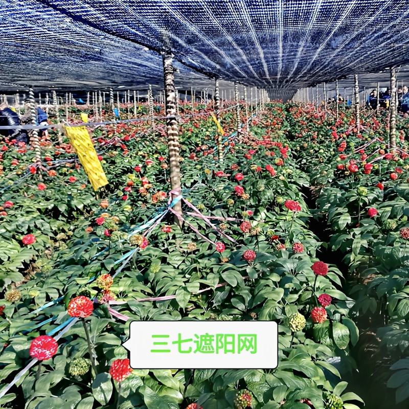 农用防老化遮阳网:果蔬、花卉、药材、苗木种植专用遮阳网