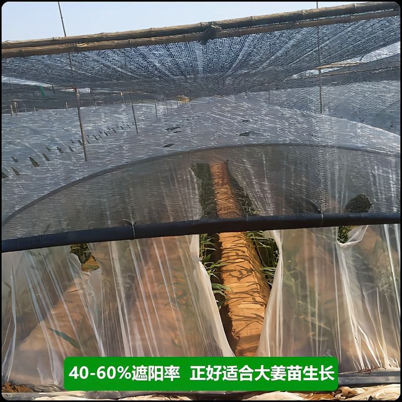 农用防老化遮阳网:果蔬、花卉、药材、苗木种植专用遮阳网