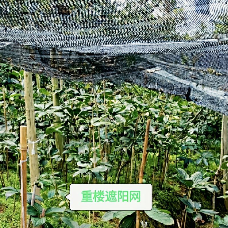 农用防老化遮阳网:果蔬、花卉、药材、苗木种植专用遮阳网