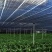 农用防老化遮阳网:果蔬、花卉、药材、苗木种植专用遮阳网