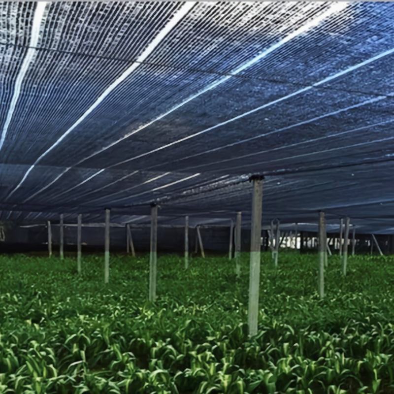 农用防老化遮阳网:果蔬、花卉、药材、苗木种植专用遮阳网