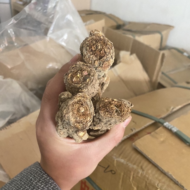 当归甘肃岷县岷归个子正品无硫***当归个子