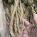 当归甘肃岷县岷归个子正品无硫***当归个子