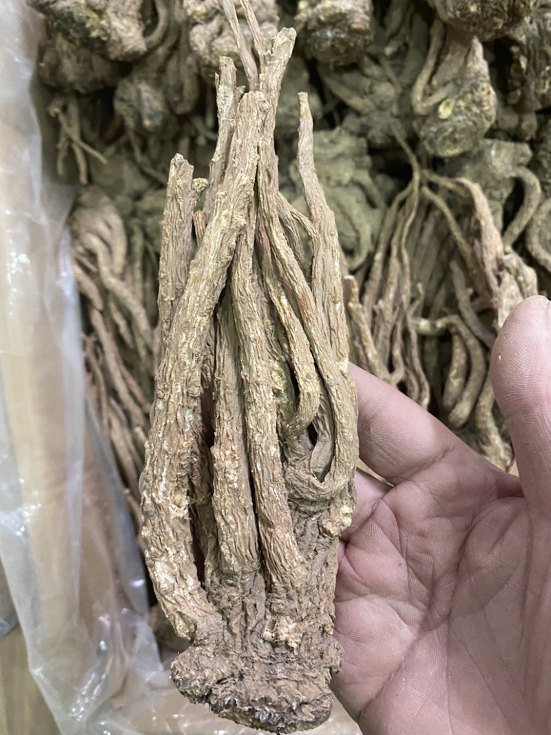 当归甘肃岷县岷归个子正品无硫***当归个子