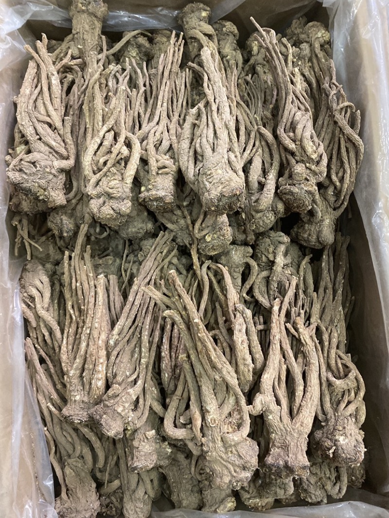 当归甘肃岷县岷归个子正品无硫***当归个子