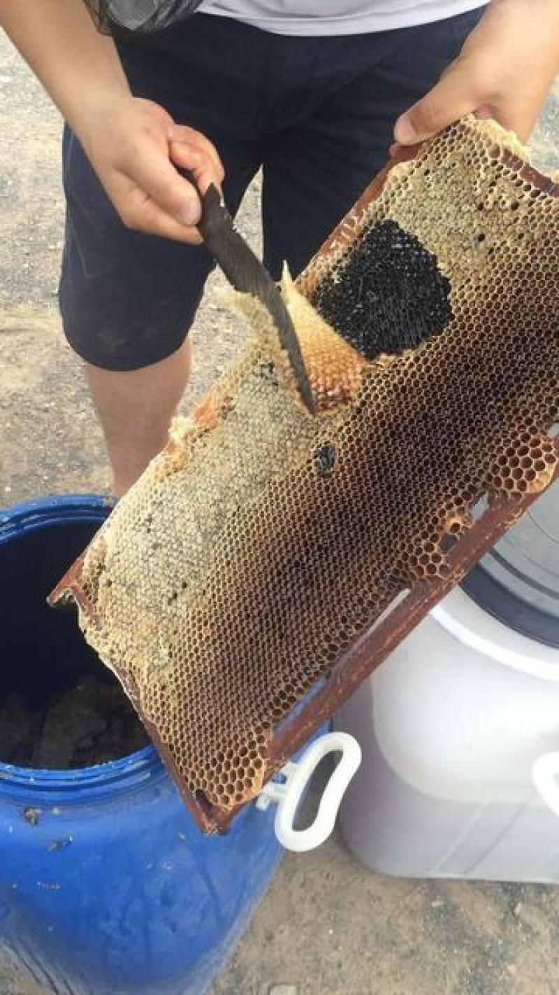 自己家养的土蜂蜜，无任何添加剂，假一罚十