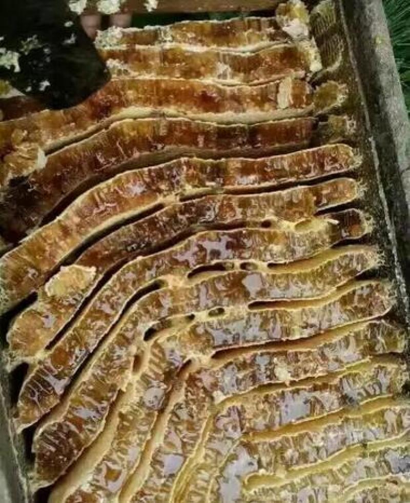 自己家养的土蜂蜜，无任何添加剂，假一罚十