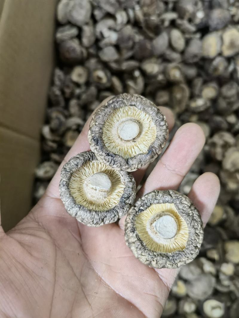 干香菇厚菇西峡香菇剪脚小香菇肉厚冬菇规格齐全产地直发