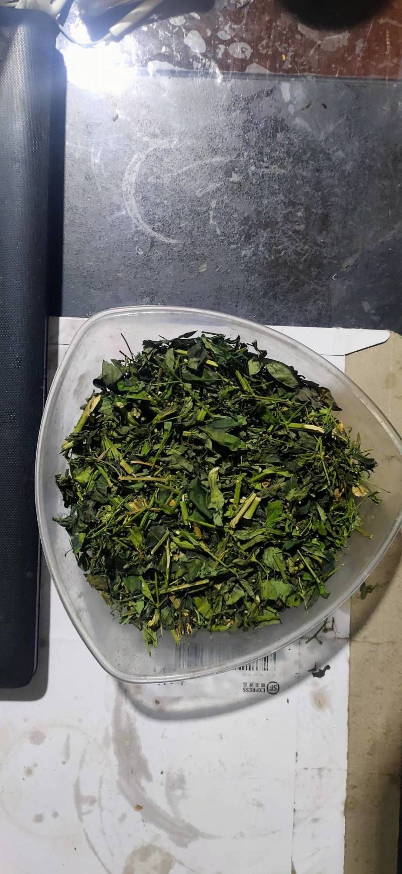 穿心莲系列产品穿心莲叶子种苗