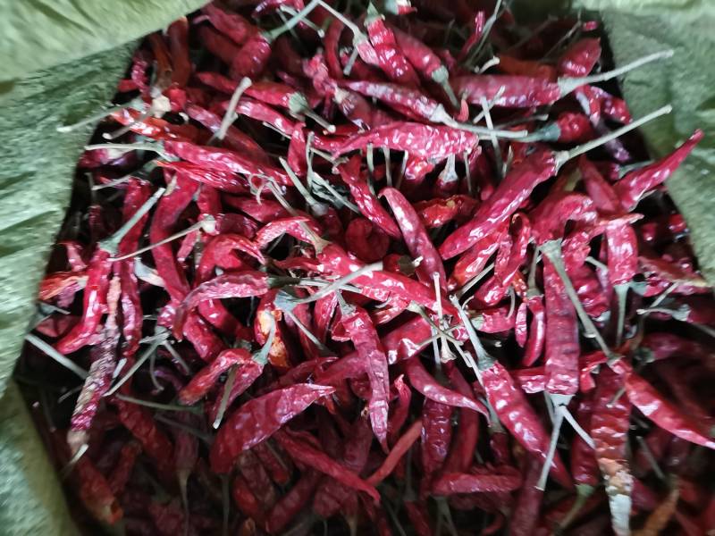 干艳红辣椒5吨，九成干以上，精品，通货都有，有需要的联系
