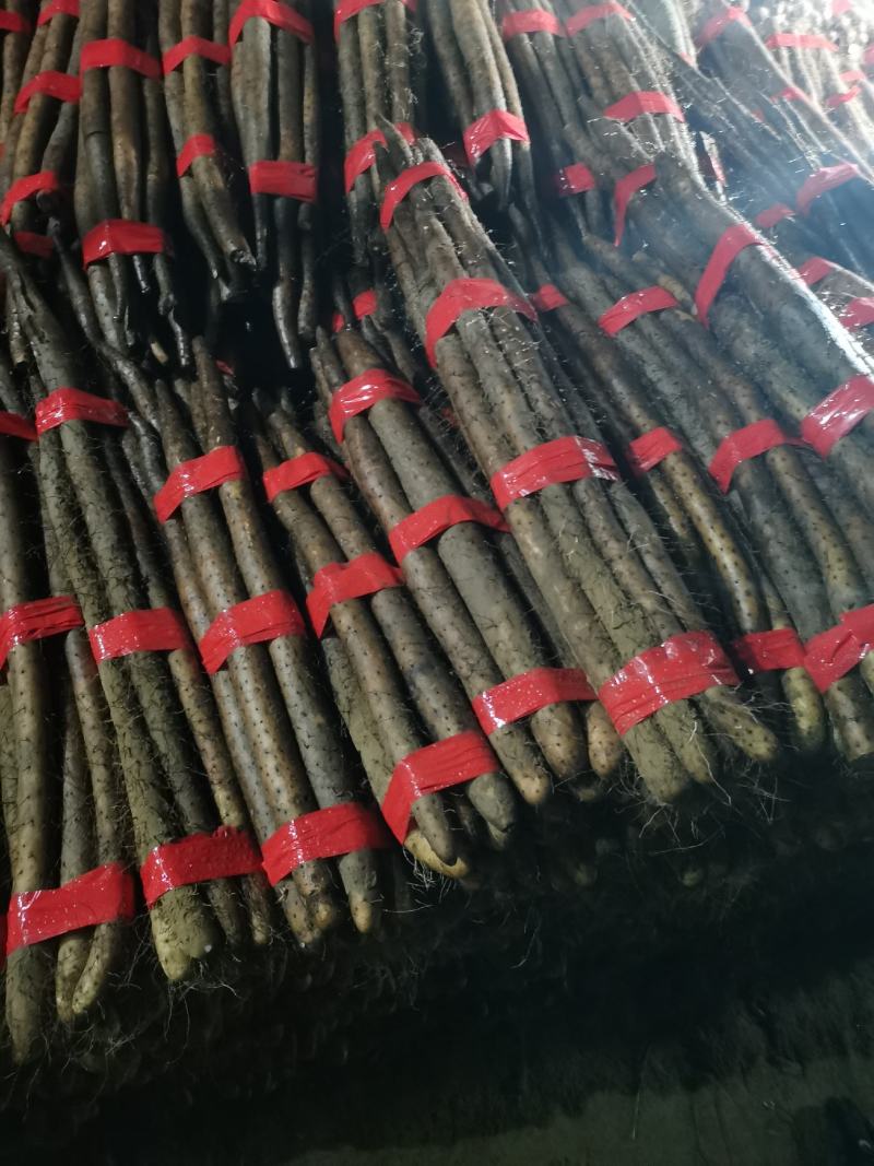 山药山药白玉山药长条