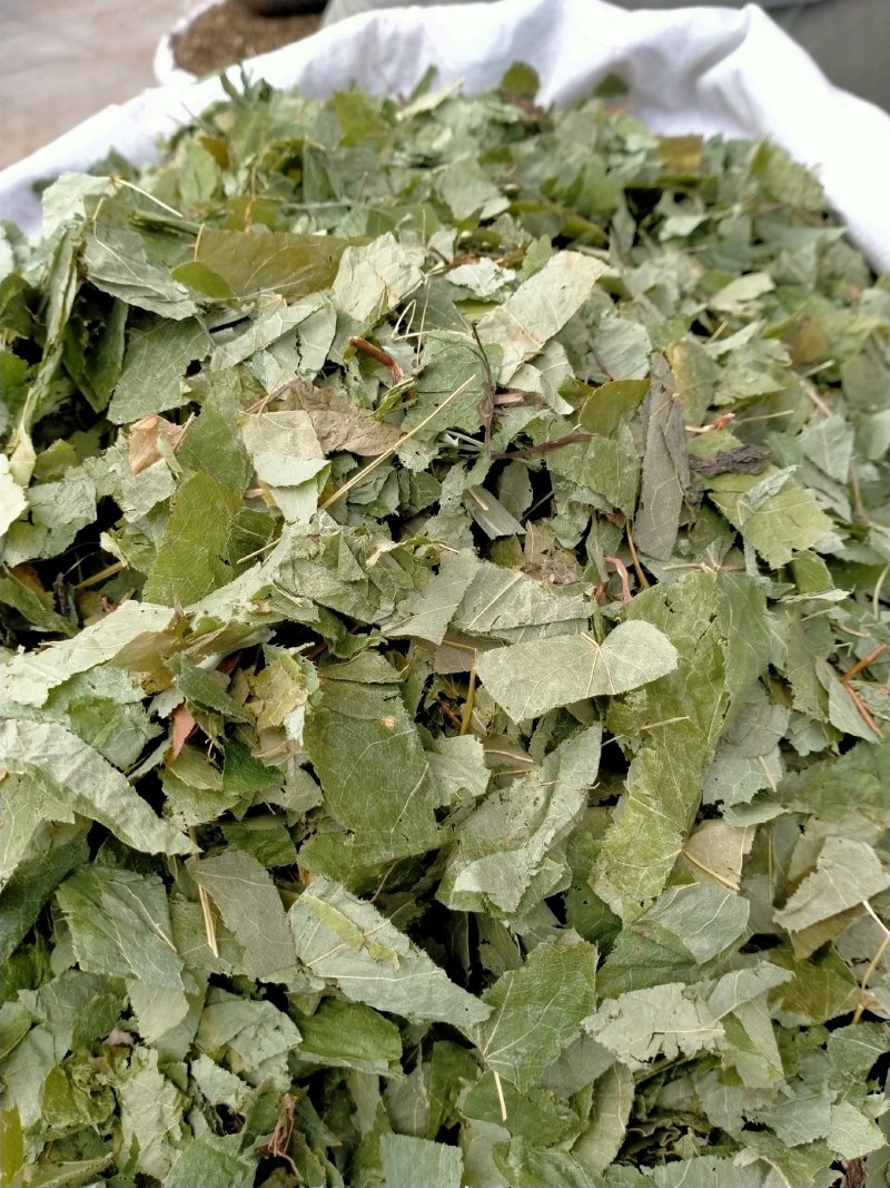 淫羊藿！产地直销规格齐全！欢迎订购！！！