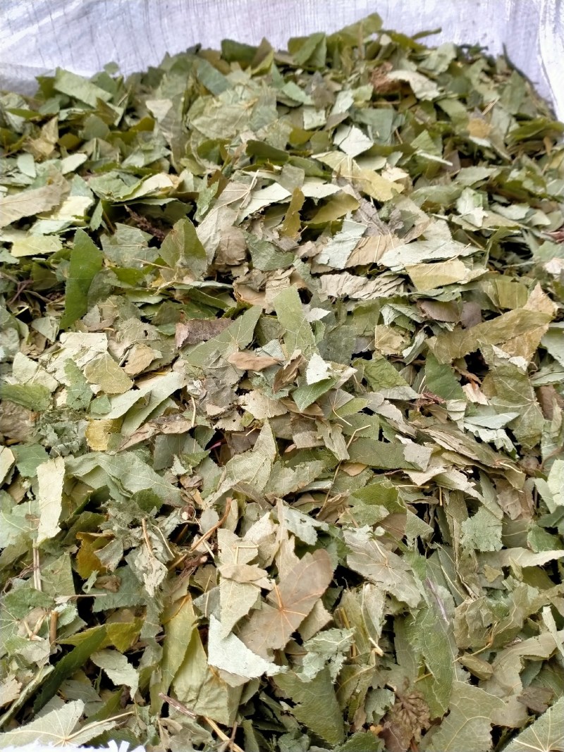 淫羊藿！产地直销规格齐全！欢迎订购！！！