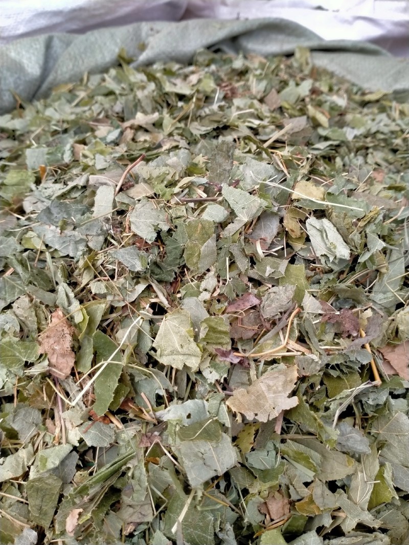 淫羊藿！产地直销规格齐全！欢迎订购！！！
