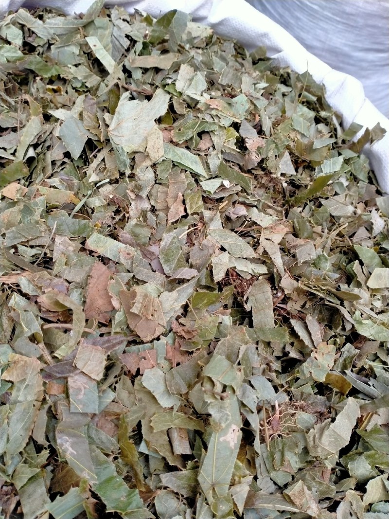 淫羊藿！产地直销规格齐全！欢迎订购！！！