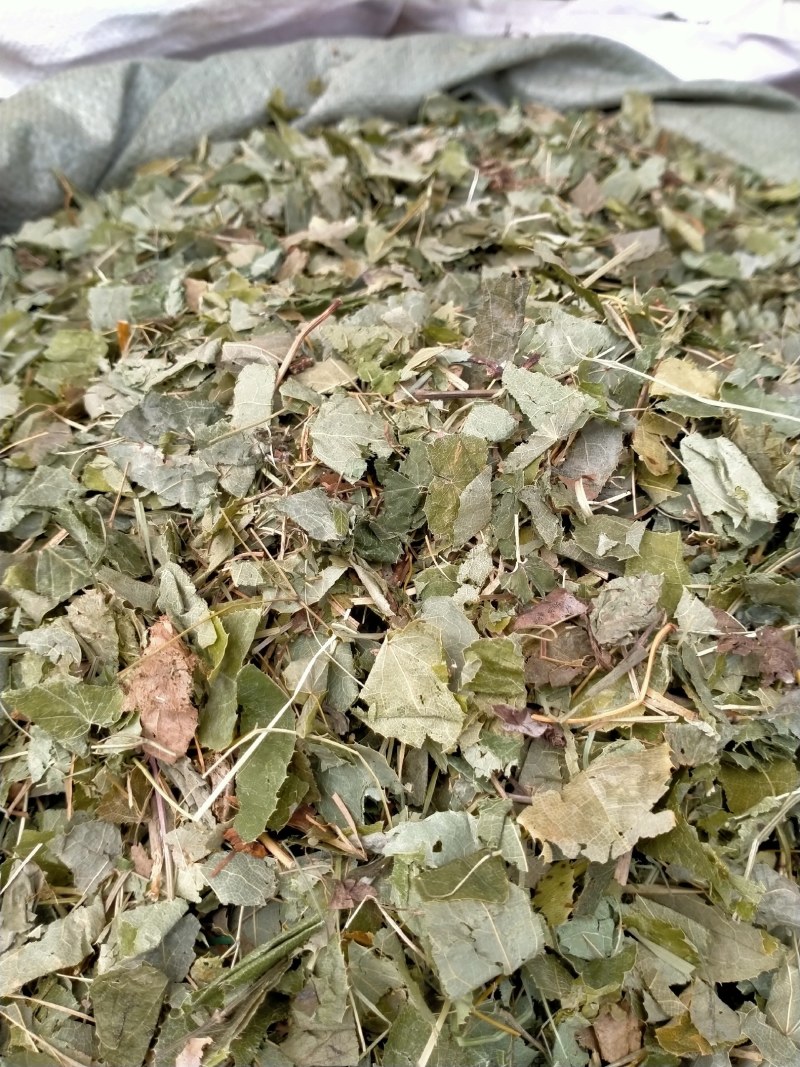 淫羊藿！产地直销规格齐全！欢迎订购！！！