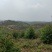 化州15000亩山地出租，可种桉树，果树等各种经济作物