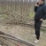 梧桐量大从优欢迎下单